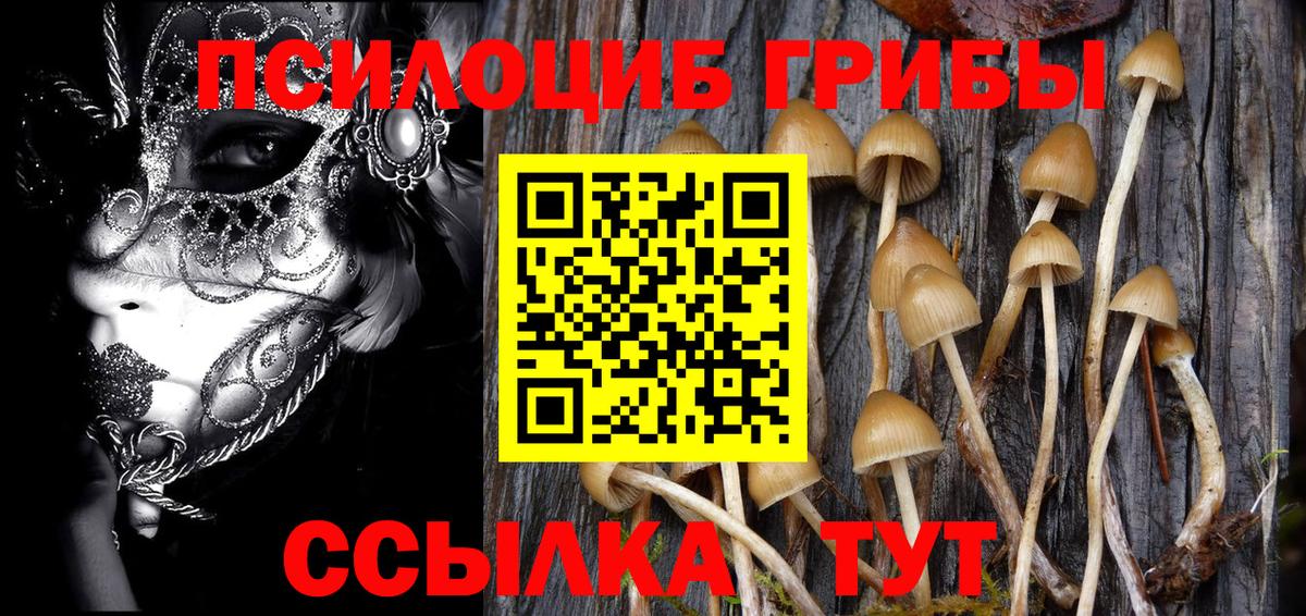 Галлюциногенные грибы мухоморы Лесозаводск